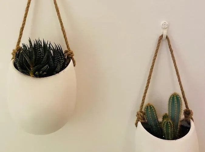 Casetta Carens Nel Centro Storico Di Nardò